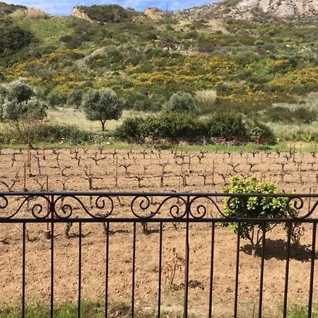 Rodanthy I * Katelios