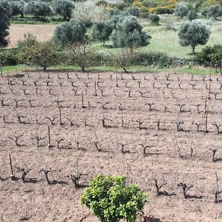 Rodanthy I Apartmán Katelios