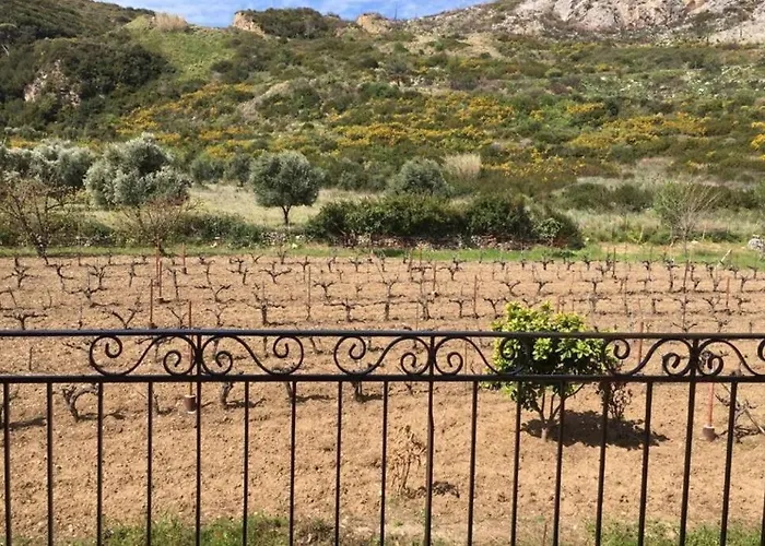 Rodanthy I * Katelios