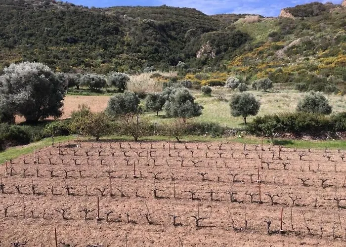 Apartmán Rodanthy I